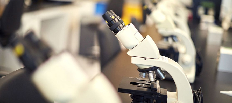 Laboratoire