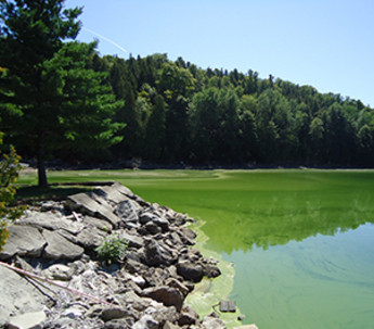Photo d'un lac