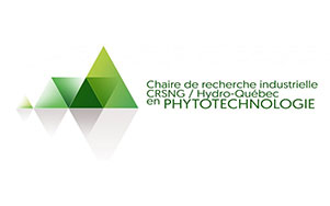 Logo de la Chaire de recherche industrielle CRSNG / Hydro-Québec en phytotechnologie