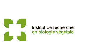 Logo de l'Institut de recherche en biologie végétale